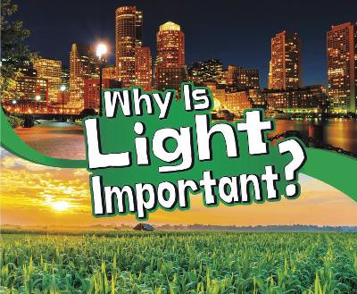 Why Is Light Important? by Mari Schuh
