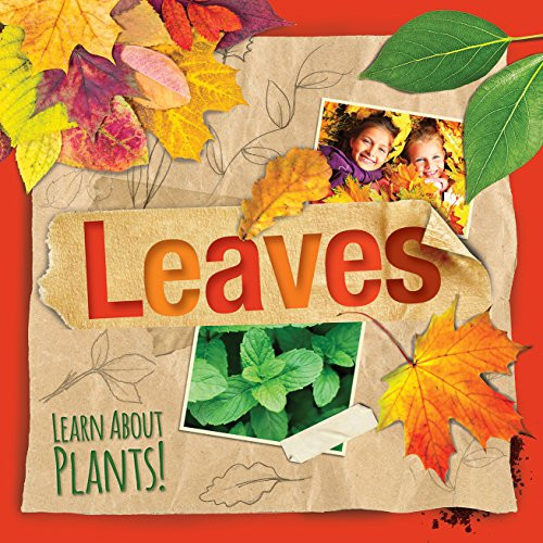 Leaves by Steffi Cavell-Clarke 9781534522428