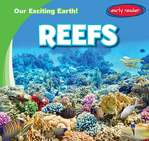 Reefs by Tanner Billings 9781538275733