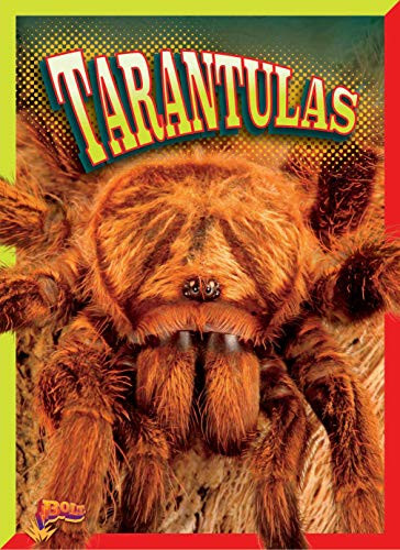 Tarantulas by Marty Gitlin 9781644660249