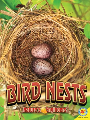 Bird Nests by Stacy Tornio 9781489697653