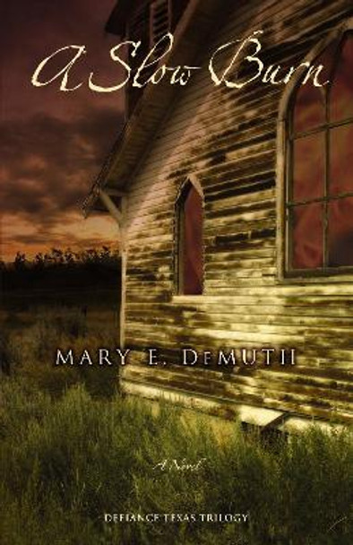 A Slow Burn: A Novel by Mary E DeMuth