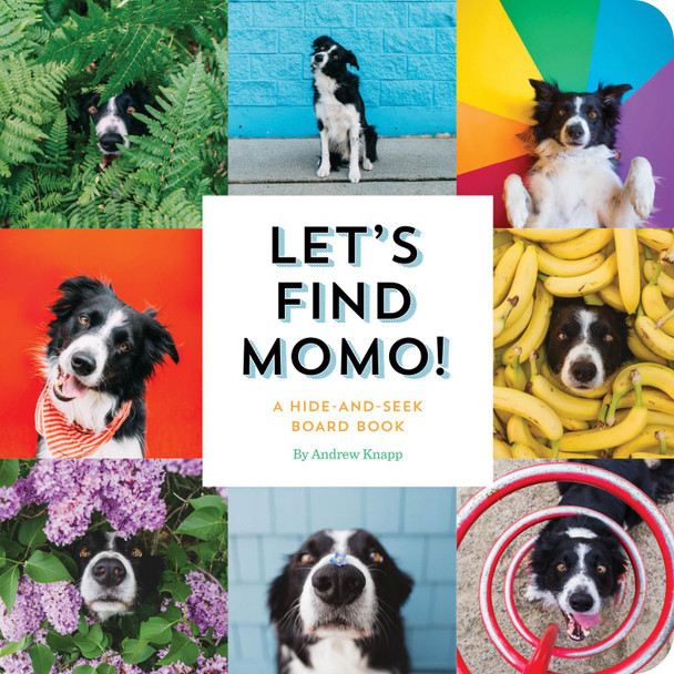 Let's Find Momo!: A Hide-and-Seek Board Book Andrew Knapp 9781594749582