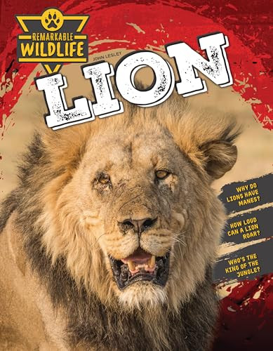 Lion by John Lesley 9781761402500