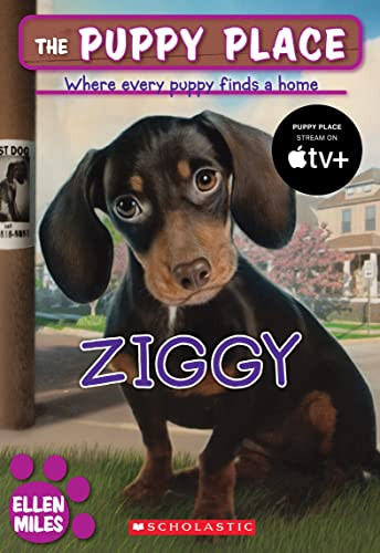 Ziggy by Ellen Miles 9780545253956