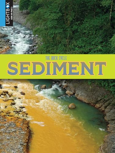 Sediment by John Willis 9781510544437