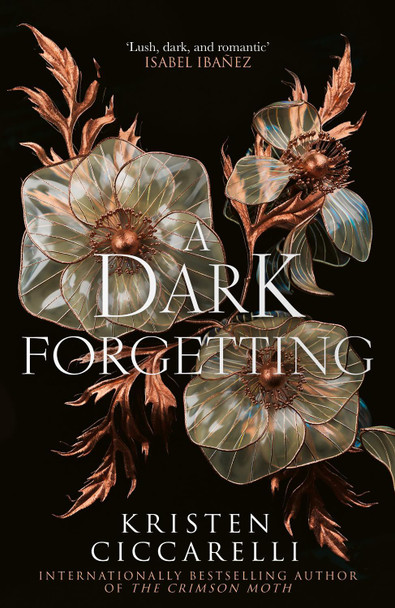 A Dark Forgetting Kristen Ciccarelli 9780008783952