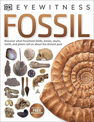 Fossil by DK 9780241286876 [USED COPY]