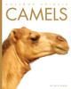 Camels by Kate Riggs 9781682770962