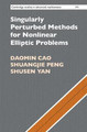 Singularly Perturbed Methods for Nonlinear Elliptic Problems by Daomin Cao