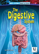 The Digestive System by D R Faust 9798892326544