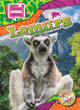 Lemurs by Janie Scheffer 9798898800413