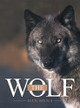 The Wolf by Dan Mena 9781665771658