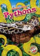 Pythons by Joanne Mattern 9798893044775