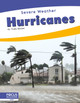 Hurricanes by Trudy Becker 9798889986287