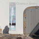 Gabriella Lewenz by C M Forrest 9780473122782
