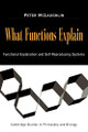 What Functions Explain: Functional Explanation and Self-Reproducing Systems by Peter McLaughlin 9780521038850