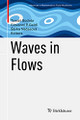 Waves in Flows by Tomas Bodnar 9783030678449