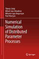 Numerical Simulation of Distributed Parameter Processes by Tiberiu Colosi 9783319000138