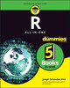 R All-in-One For Dummies by Schmuller