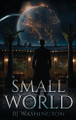 Small World by Bj Washington 9798330557417