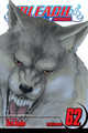 Bleach, Vol. 62 by Tite Kubo 9781421576817