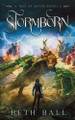 Stormborn by Beth Ball 9781952609206