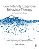 Low Intensity Cognitive Behaviour Therapy: A Practitioner's Guide by Mark Papworth