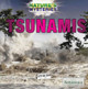 Tsunamis by Daniel E Harmon 9781508106531