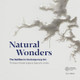 Natural Wonders: The Sublime in Contemporary Art: Thirteen Artists Explore Nature's Limits by Suzanne Ramljak