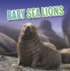 Baby Sea Lions by Martha E. H. Rustad