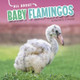 All about Baby Flamingos by Martha E H Rustad
