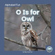 O Is for Owl by Meg Gaertner