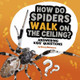 How Do Spiders Walk On The Ceiling by Nancy Dickmann
