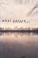 What Nature: Poems by Steve Fay