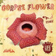 Corpse Flower by William Anthony