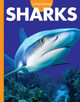 Curious about Sharks by Amy S Hansen