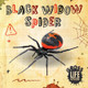 Black Widow Spider by William Anthony