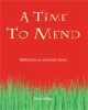 A Time to Mend: Reflections in Uncertain Times Peter Millar 9781849522472
