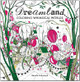 Dreamland: Coloring Whimsical Worlds Renata Krawczyk 9781684620340