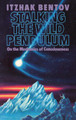 Stalking the Wild Pendulum: On the Mechanics of Consciousness by Itzhak Bentov 9780892812028