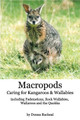 Macropods - Caring for Kangaroos and Wallabies by Donna Racheal