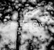 American Psyche: The Unlit Cave George Elsasser 9781942084839