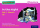 Read Write Inc. Phonics: Pink Set 3 Storybook 8 In the Night by Gill Munton