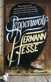 Steppenwolf by Hermann Hesse 9780241951521