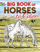 Big Book of Horses to Color by John Green 9780486451787