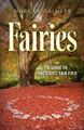 Fairies Morgan Daimler 9781782796503