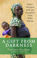 A Gift from Darkness: How I Escaped with my Daughter from Boko Haram by Patience Ibrahim 9780349142586