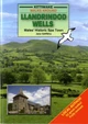 Walks Around Llandrindod Wells by Jane Griffiths 9781902302959