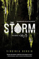 The Storm by Virginia Bergin 9781492621003
